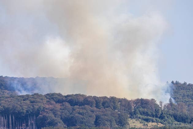Waldbrand Möhnesee Seit 15:00 Uhr bekämpfen die Einsatzkräfte von Feuerwehr, Rettungsdienst, Hilfsorganisationen und Polizei aus dem gesamten Kreisgebiet einen Waldbrand am Möhnesee im Bereich Grüne Hoffnung - Wilhelmsruh. Aktuell sind rund 300 Einsatzkräfte im Einsatz. Das Feuer hat sich bereits auf eine Fläche von rund 44.000 mÂ² ausgebreitet und ist weiterhin dynamisch. Weitere Einsatzkräfte und Spezialgerät von Wald und Holz NRW sind noch auf der Anfahrt. Aufgrund des Brandes kann es im Bereich des Arnsberger Waldes, in der Soester Börde und in Teilbereichen des Hochsauerlandkreises zu Geruchsbelästigungen kommen. Möhnesee Naturpark Möhnesee-Havesse Nordrhein-Westfalen Deutschland *** Möhnesee Forest Fire Since 15:00, emerg