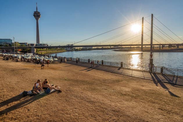 Die Wiesen an der Rheinuferpromenade sind nach wochenlanger Trockenheit braun und verdorrt, Rheinkniebrücke mit Rheinturm in der Abendsonne, Düsseldorf, 13. August 2026 Deutschland, Düsseldorf, 13. August 2026, die Wiesen an der Rheinuferpromenade sind nach wochenlanger Trockenheit braun und verdorrt, Rheinkniebrücke mit Rheinturm in der Abendsonne, Donnerstagabend um 19:35 Uhr, Rheinufer, durch die anhaltende Trockenheit ist der Pegelstand des Rheins auf ein extrem niedriges Niveau gefallen, die Schifffahrt ist eingeschränkt, zu wenig Regen, schönes Wetter, Hochsommer, Hitzewelle mit Temperaturen bis 33 Grad, Sommer, Nordrhein-Westfalen, NRW, *** The meadows along the Rhine promenade are brown and parched after weeks of drought; the