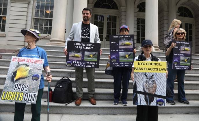 August 13, 2026, New York, New York, USA: Supporters and members of the NYC Bird Alliance gather outside City Hall to demand the passage of Lights Out legislation. The bill, dubbed Flaco s Law, aims to curb commercial night lighting to protect over 250,000 migratory birds from fatal building collisions in New York City annually. New York USA - ZUMAk03_ 20260813_zaf_k03_006 Copyright: xNancyxKaszermanx