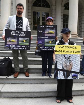 August 13, 2026, New York, New York, USA: Supporters and members of the NYC Bird Alliance gather outside City Hall to demand the passage of Lights Out legislation. The bill, dubbed Flaco s Law, aims to curb commercial night lighting to protect over 250,000 migratory birds from fatal building collisions in New York City annually. New York USA  - ZUMAk03_ 20260813_zaf_k03_007 Copyright: xNancyxKaszermanx