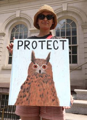 August 13, 2026, New York, New York, USA: A supporter of the NYC Bird Alliance gathers outside City Hall to demand the passage of Lights Out legislation. The bill, dubbed Flaco s Law, aims to curb commercial night lighting to protect over 250,000 migratory birds from fatal building collisions in New York City annually. New York USA - ZUMAk03_ 20260813_zaf_k03_009 Copyright: xNancyxKaszermanx