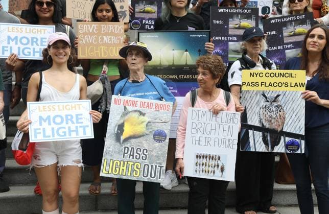 August 13, 2026, New York, New York, USA: Supporters and members of the NYC Bird Alliance gather outside City Hall to demand the passage of Lights Out legislation. The bill, dubbed Flaco s Law, aims to curb commercial night lighting to protect over 250,000 migratory birds from fatal building collisions in New York City annually. New York USA  - ZUMAk03_ 20260813_zaf_k03_010 Copyright: xNancyxKaszermanx