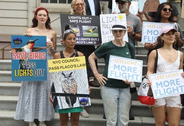 August 13, 2026, New York, New York, USA: Supporters and members of the NYC Bird Alliance gather outside City Hall to demand the passage of Lights Out legislation. The bill, dubbed Flaco s Law, aims to curb commercial night lighting to protect over 250,000 migratory birds from fatal building collisions in New York City annually. New York USA  - ZUMAk03_ 20260813_zaf_k03_015 Copyright: xNancyxKaszermanx