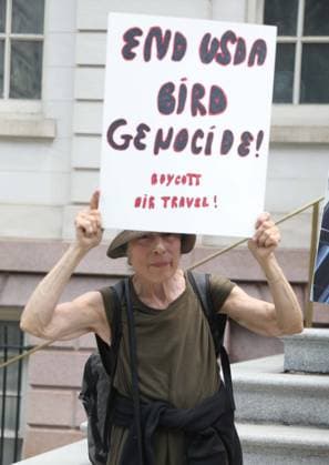 August 13, 2026, New York, New York, USA: A supporter of the NYC Bird Alliance gathers outside City Hall to demand the passage of Lights Out legislation. The bill, dubbed Flaco s Law, aims to curb commercial night lighting to protect over 250,000 migratory birds from fatal building collisions in New York City annually. New York USA  - ZUMAk03_ 20260813_zaf_k03_024 Copyright: xNancyxKaszermanx