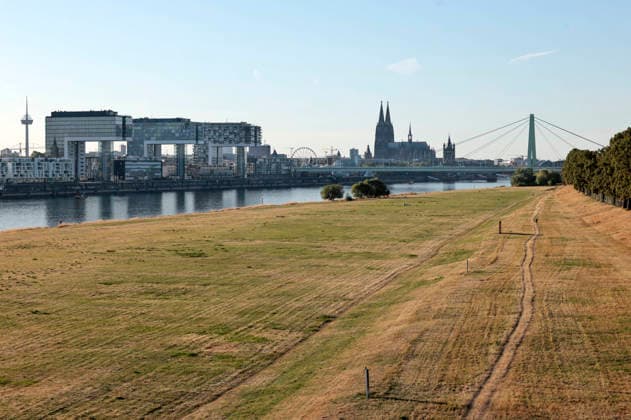 Durch die historisch niedrigen Pegelstände im Rhein ist die Logistik extremst gestört. Hierdurch entstehen Herausforderungen und Folgen für den Alltag. Es droht das Abschneiden der Transportwege im Rhein. Die Kosten für den Verbraucher steigen im Bereich der Lebensmitteln, bei den Kraftstoffen und anderen Bereichen durch gestiegene Transportkosten. Unternehmen sind gezwungen, die Produktionen zu drosseln. Köln, 13.08.2026 *** Due to historically low water levels in the Rhine, logistics have been severely disrupted. This is creating challenges and consequences for everyday life. There is a risk that transport routes along the Rhine will be cut off. Consumer costs are rising for food, fuel, and other goods due to increased transportation Foto:xR.xSchmiegeltx xFuturexImagex neidrigwasser_6801