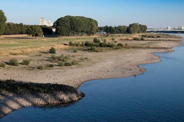 Poller Wiesen - Durch die historisch niedrigen Pegelstände im Rhein ist die Logistik extremst gestört. Hierdurch entstehen Herausforderungen und Folgen für den Alltag. Es droht das Abschneiden der Transportwege im Rhein. Die Kosten für den Verbraucher steigen im Bereich der Lebensmitteln, bei den Kraftstoffen und anderen Bereichen durch gestiegene Transportkosten. Unternehmen sind gezwungen, die Produktionen zu drosseln. Köln, 13.08.2026 *** Poller Wiesen: Due to historically low water levels in the Rhine, logistics have been severely disrupted. This is creating challenges and consequences for everyday life. There is a risk that transport routes along the Rhine will be cut off. Consumer costs are rising for food, fuel, and other goods Foto:xR.xSchmiegeltx xFuturexImagex neidrigwasser_6815
