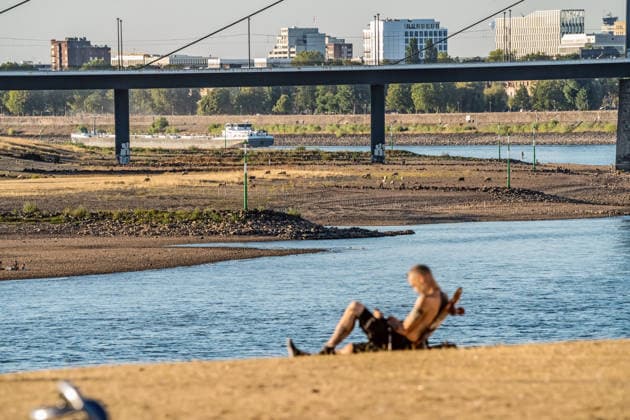 Die Rheinwiesen sind nach wochenlanger Trockenheit braun und verdorrt, weite Uferbereiche sind trocken gefallen, ein Mann sonnt sich in der Abendsonne, Düsseldorf, 13. August 2026 Deutschland, Düsseldorf, 13. August 2026, die Rheinwiesen sind nach wochenlanger Trockenheit braun und verdorrt, weite Uferbereiche sind trocken gefallen, ein Mann sonnt sich an der Rheinuferpromenade, Blick auf die Oberkasseler Brücke, Donnerstagabend um 19:30 Uhr, Rheinufer, durch die anhaltende Trockenheit ist der Pegelstand des Rheins auf ein extrem niedriges Niveau gefallen, die Schifffahrt ist eingeschränkt, zu wenig Regen, schönes Wetter, Hochsommer, Hitzewelle mit Temperaturen bis 33 Grad, Sommer, Nordrhein-Westfalen, NRW, *** After weeks of drought,