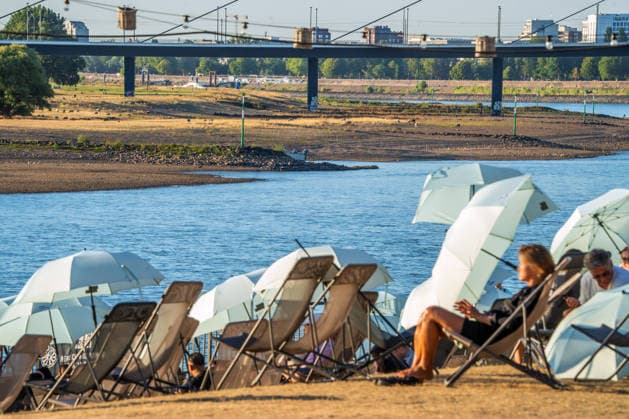 Die Rheinwiesen sind nach wochenlanger Trockenheit braun und verdorrt, weite Uferbereiche sind trocken gefallen, Menschen genießen die Abendsonne am Stadtstrand, Düsseldorf, 13. August 2026 Deutschland, Düsseldorf, 13. August 2026, Menschen sonnen sich am Stadtstrand, die Rheinwiesen sind nach wochenlanger Trockenheit braun und verdorrt, weite Uferbereiche sind trocken gefallen, Rheinuferpromenade, Sonnenschirme, Blick auf die Oberkasseler Brücke, Donnerstagabend um 19:30 Uhr, Rheinufer, durch die anhaltende Trockenheit ist der Pegelstand des Rheins auf ein extrem niedriges Niveau gefallen, die Schifffahrt ist eingeschränkt, zu wenig Regen, schönes Wetter, Hochsommer, Hitzewelle mit Temperaturen bis 33 Grad, Sommer, Nordrhein-Westfale