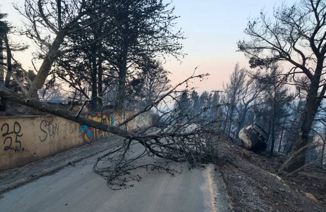 Aftermath of Wildfire Near Omis The full extent of the damage of fire near Omis, Croatia on August 14, 2026 became visible with the arrival of daylight following a devastating wildfire that swept through the Omis area yesterday and overnight.  IvoxCagalj PIXSELL