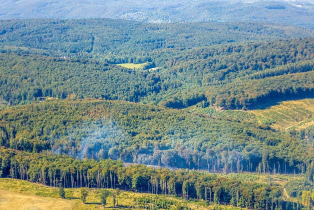 Luftbild Arnsberg, gelöschter Waldbrand im Arnsberger Wald bei Delecke, Möhnesee, Feuerwehr, Brandwache, Sauerland, Nordrhein-Westfalen, Deutschland !ACHTUNGxMINDESTHONORARx60xEURO! *** Aerial view of Arnsberg, extinguished forest fire in the Arnsberg Forest near Delecke, Möhnesee, fire department, fire watch, Sauerland, North Rhine-Westphalia, Germany ATTENTION: MINIMUM FEE: 60 EUR