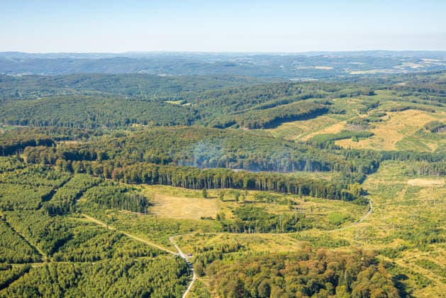 Luftbild Arnsberg, gelöschter Waldbrand im Arnsberger Wald bei Delecke, Möhnesee, Feuerwehr, Brandwache, Sauerland, Nordrhein-Westfalen, Deutschland !ACHTUNGxMINDESTHONORARx60xEURO! *** Aerial view of Arnsberg, extinguished forest fire in the Arnsberg Forest near Delecke, Möhnesee, fire department, fire watch, Sauerland, North Rhine-Westphalia, Germany ATTENTION: MINIMUM FEE: 60 EUR