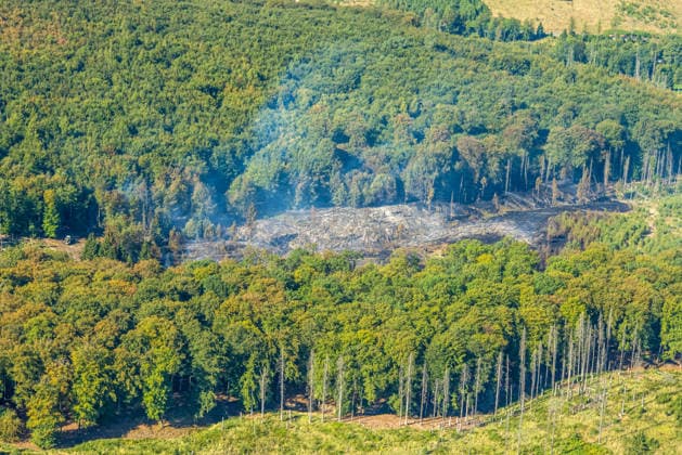 Luftbild Arnsberg, gelöschter Waldbrand im Arnsberger Wald bei Delecke, Möhnesee, Feuerwehr, Brandwache, Sauerland, Nordrhein-Westfalen, Deutschland !ACHTUNGxMINDESTHONORARx60xEURO! *** Aerial view of Arnsberg, extinguished forest fire in the Arnsberg Forest near Delecke, Möhnesee, fire department, fire watch, Sauerland, North Rhine-Westphalia, Germany ATTENTION: MINIMUM FEE: 60 EUR