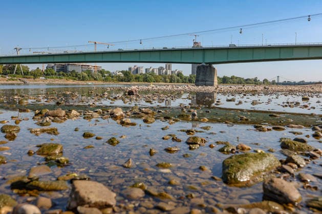 Sommer im Rheinland. Blick auf den Rhein bei Koeln (Köln) - Deutz. Der Rhein in Koeln (Köln) fuehrt (führt) Niedrigwasser aufgrund anhaltender Trockenheit. In der Bildmitte die Zoobruecke (Zoobrücke). Sommer im Rheinland am 14.08.2026 in Koeln (Köln) Deutschland. *** Summer in the Rhineland: View of the Rhine near Cologne, Deutz. The Rhine in Cologne is at low water levels due to persistent drought. In the center of the photo is the Zoobrücke bridge. Summer in the Rhineland on August 14, 2026, in Cologne, Germany