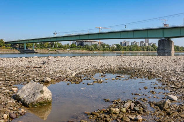Sommer im Rheinland. Blick auf den Rhein bei Koeln (Köln) - Deutz. Der Rhein in Koeln (Köln) fuehrt (führt) Niedrigwasser aufgrund anhaltender Trockenheit. In der Bildmitte die Zoobruecke (Zoobrücke). Sommer im Rheinland am 14.08.2026 in Koeln (Köln) Deutschland. *** Summer in the Rhineland: View of the Rhine near Cologne, Deutz. The Rhine in Cologne is at low water levels due to persistent drought. In the center of the photo is the Zoobrücke bridge. Summer in the Rhineland on August 14, 2026, in Cologne, Germany