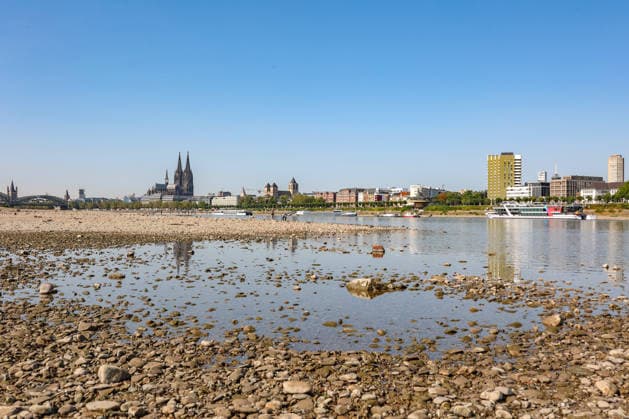 Sommer im Rheinland. Blick auf den Rhein bei Koeln (Köln) - Deutz. Der Rhein in Koeln (Köln) fuehrt (führt) Niedrigwasser aufgrund anhaltender Trockenheit. Im Hintergrund die Hohenzollernbruecke (Hohenzollernbrücke) (links) und der Koelner (Kölner) Dom (rechts). Sommer im Rheinland am 14.08.2026 in Koeln (Köln) Deutschland. *** Summer in the Rhineland: View of the Rhine near Cologne (Deutz). The Rhine in Cologne is at low water levels due to persistent drought. In the background, the Hohenzollern Bridge is on the left and Cologne Cathedral is on the right. Summer in the Rhineland on August 14, 2026 in Cologne, Germany