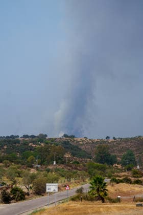 Aznalcóllar Watches with Fear as the Niebla Fire Spreads Images of the Niebla fire spreading in the municipality of Aznalcóllar August 14, 2026, in Aznalcóllar, Seville, Andalusia, Spain The Niebla fire in Huelva, which has been burning since August 6 and has affected more than 31,000 hectares, has entered the municipality of Aznalcóllar, Seville, via the Charcofrío area. This Friday, the situation worsened in the area; the fire crossed the road toward El Álamo and reached El Campillo and Madronalejo. August 14, 2026. Francisco J. Aznalcollar, Seville, Andalusia; Aznalcóllar, Seville, Andalusia, Spain  Copyright: xFranciscoxJ.xOlmox 7714157