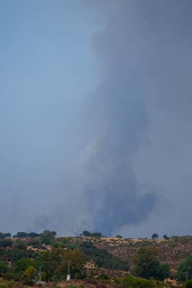 Aznalcóllar Watches with Fear as the Niebla Fire Spreads Images of the Niebla fire spreading in the municipality of Aznalcóllar August 14, 2026, in Aznalcóllar, Seville, Andalusia, Spain The Niebla fire in Huelva, which has been burning since August 6 and has affected more than 31,000 hectares, has entered the municipality of Aznalcóllar, Seville, via the Charcofrío area. This Friday, the situation worsened in the area; the fire crossed the road toward El Álamo and reached El Campillo and Madronalejo. August 14, 2026. Francisco J. Aznalcollar, Seville, Andalusia; Aznalcóllar, Seville, Andalusia, Spain  Copyright: xFranciscoxJ.xOlmox 7714158