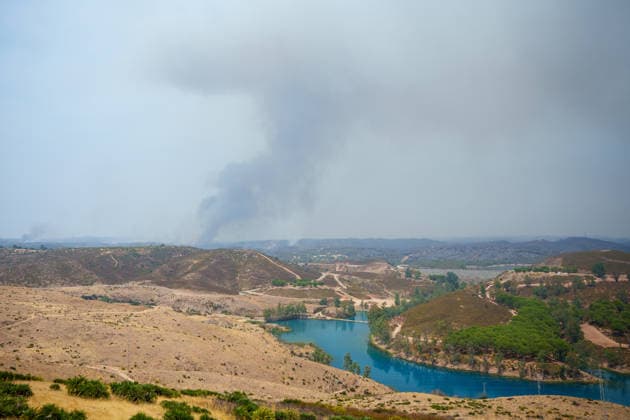 Aznalcóllar Watches with Fear as the Niebla Fire Spreads Images of the Niebla fire spreading in the municipality of Aznalcóllar August 14, 2026, in Aznalcóllar, Seville, Andalusia, Spain The Niebla fire in Huelva, which has been burning since August 6 and has affected more than 31,000 hectares, has entered the municipality of Aznalcóllar, Seville, via the Charcofrío area. This Friday, the situation worsened in the area; the fire crossed the road toward El Álamo and reached El Campillo and Madronalejo. August 14, 2026. Francisco J. Aznalcollar, Seville, Andalusia; Aznalcóllar, Seville, Andalusia, Spain  Copyright: xFranciscoxJ.xOlmox 7714164
