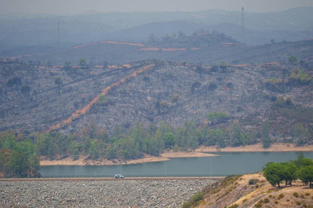 Aznalcóllar Watches with Fear as the Niebla Fire Spreads Images of the Niebla fire spreading in the municipality of Aznalcóllar August 14, 2026, in Aznalcóllar, Seville, Andalusia, Spain The Niebla fire in Huelva, which has been burning since August 6 and has affected more than 31,000 hectares, has entered the municipality of Aznalcóllar, Seville, via the Charcofrío area. This Friday, the situation worsened in the area; the fire crossed the road toward El Álamo and reached El Campillo and Madronalejo. August 14, 2026. Francisco J. Aznalcollar, Seville, Andalusia; Aznalcóllar, Seville, Andalusia, Spain  Copyright: xFranciscoxJ.xOlmox 7714167