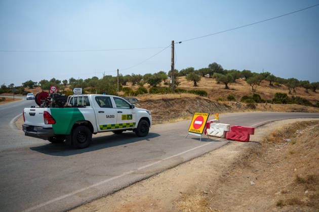 Aznalcóllar watches with fear as the Niebla fire spreads Roads cut off by the advancing Niebla fire in the municipality of Aznalcóllar August 14, 2026, in Aznalcóllar, Seville, Andalusia, Spain The Niebla, Huelva, wildfire—active since August 6 and having affected more than 31,000 hectares— has entered the municipality of Aznalcóllar, Seville, via the Charcofrío area. On Friday, the situation worsened in the area; the fire crossed the road toward El Álamo and reached El Campillo and Madronalejo. August 14, 2026. Francisco J. Aznalcollar, Seville, Andalusia; Aznalcóllar, Seville, Andalusia, Spain  Copyright: xFranciscoxJ.xOlmox 7714170