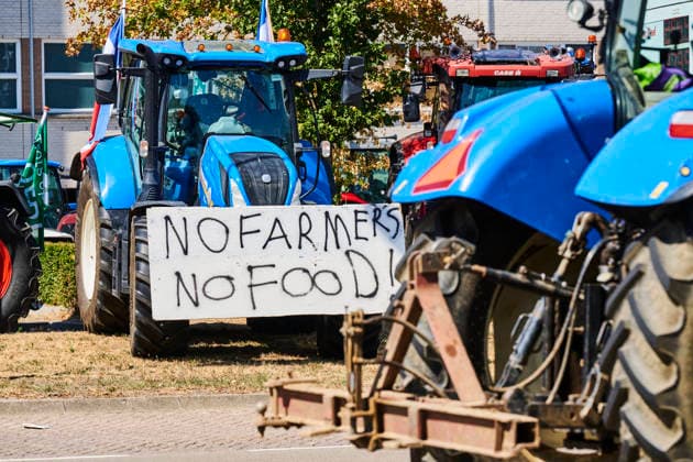 Farmers protest at the provincial government building in Den Bosch against the cabinet s nitrogen plans. S Hertogenbosch 14-08-26. A farmers protest is taking place at the provincial government building in Den Bosch against the cabinet s nitrogen plans and the revocation of permits for five farms. The province of Brabant is holding an extraordinary provincial council meeting today regarding the revocation of nitrogen permits for five poultry farmers located near vulnerable nature areas. NICO GARSTMAN CONTENT CURATION S Hertogenbosch NETHERLANDS  Copyright: xNICOxGARSTMANx xCONTENTxCURATIONx NICOxGARSTMANx xCONTENTxCURATIONx