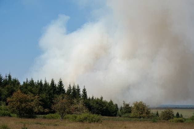 a fire rages in the Hautes Fagnes (High Fens) nature reserve, on Friday 14 August 2026 in Jalhay.  NICOLASxLAMBERT 183365730