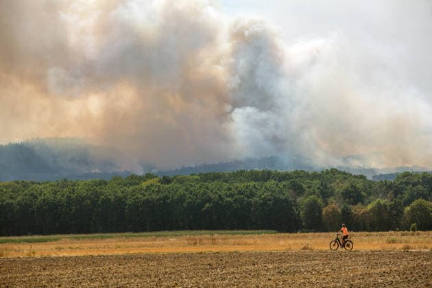 Ein Radfahrer fährt auf einem Feldweg am brennenden Hürtgenwald ( Kreis Düren NRW ) vorbei. Brand im Hürtgenwald *** A cyclist rides along a dirt road past the burning Hürtgenwald in the Düren district of North Rhine-Westphalia. Fire in the Hürtgenwald