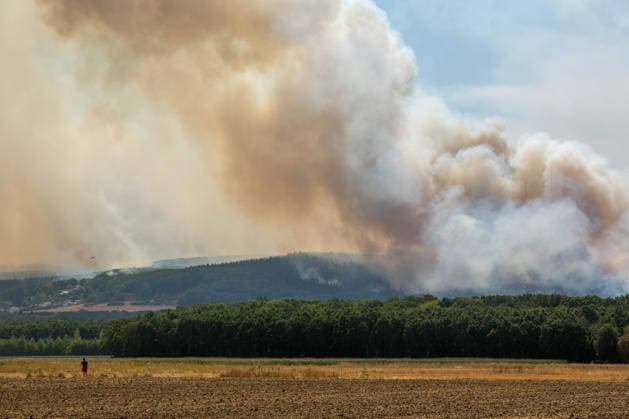 Ein Mann steht auf einem Feldweg und blickt auf den brennenden Hürtgenwald ( Kreis Düren NRW ) Brand im Hürtgenwald *** A man stands on a dirt road and looks out at the burning Hürtgenwald, Düren District, North Rhine-Westphalia. Fire in the Hürtgenwald
