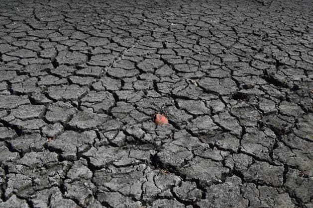 August 14, 2026, London, England, United Kingdom: A large section of a pond in Wanstead Park dries up as drought conditions and heatwaves persist in parts of the UK. London United Kingdom  - ZUMAv130 20260814_zip_v130_001 Copyright: xVukxValcicx
