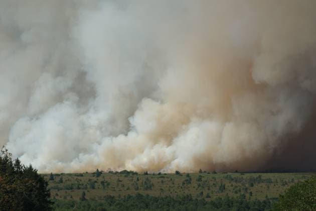 a fire rages in the Hautes Fagnes (High Fens) nature reserve, on Friday 14 August 2026 in Jalhay.  NICOLASxLAMBERT 183368917