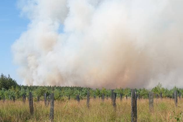 a fire rages in the Hautes Fagnes (High Fens) nature reserve, on Friday 14 August 2026 in Jalhay.  NICOLASxLAMBERT 183368920