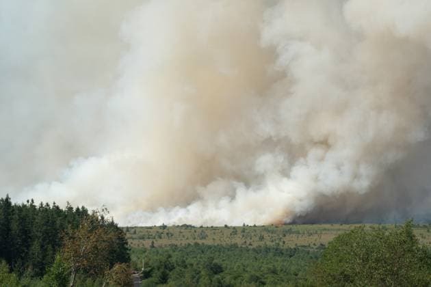 a fire rages in the Hautes Fagnes (High Fens) nature reserve, on Friday 14 August 2026 in Jalhay.  NICOLASxLAMBERT 183368922