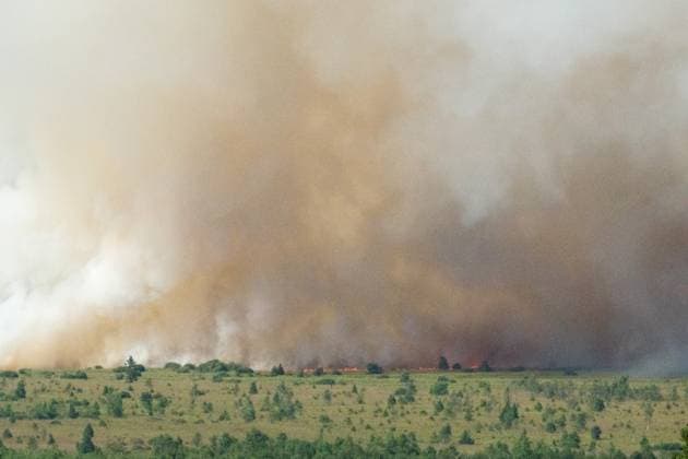 a fire rages in the Hautes Fagnes (High Fens) nature reserve, on Friday 14 August 2026 in Jalhay.  NICOLASxLAMBERT 183368925