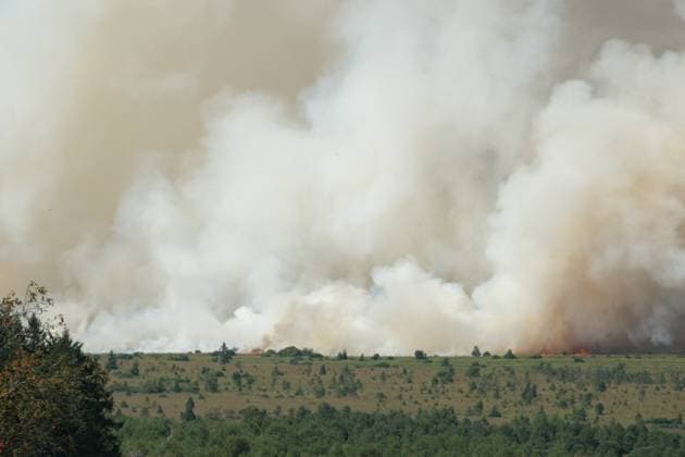 a fire rages in the Hautes Fagnes (High Fens) nature reserve, on Friday 14 August 2026 in Jalhay.  NICOLASxLAMBERT 183368928