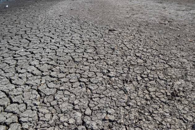 August 14, 2026, London, England, United Kingdom: A large section of a pond in Wanstead Park dries up as drought conditions and heatwaves persist in parts of the UK. London United Kingdom  - ZUMAv130 20260814_zip_v130_005 Copyright: xVukxValcicx