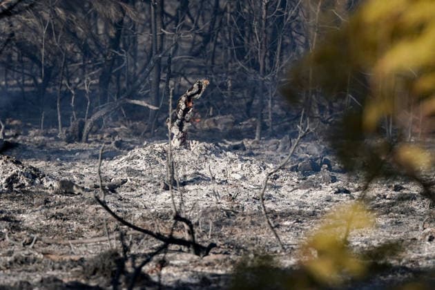 14.08.2026 - Europa, Kroatien, Ninski Stanovi: Großflächiger Vegetationsbrand zwischen Ninski Stanovi und Å½erava in der Gespanschaft Zadar. Zahlreiche Feuerwehrkräfte kämpfen gegen die Flammen. Ein Air Tractor und zwei Canadair sind zur Unterstützung der Löscharbeiten aus der Luft unterwegs. Starker Wind erschwert den Einsatz und begünstigt die Ausbreitung des Feuers. 14.08.2026 - Europa, Hrvatska, Ninski Stanovi: Veliki poÅ¾ar otvorenog prostora izmeÄ‘u Ninskih Stanova i Å½erave u Zadarskoj Å¾upaniji. Brojne vatrogasne snage bore se s vatrom. Air Tractor i Canadair upuÄ‡eni su na poÅ¾ariÅ¡te kako bi pomogli u gaÅ¡enju iz zraka. Jak vjetar oteÅ¾ava gaÅ¡enje i pogoduje Å¡irenju poÅ¾ara. *** August 14, 2026 Europe, Croatia, Ninsk Copyright: xLUKAxKOLANOVICx
