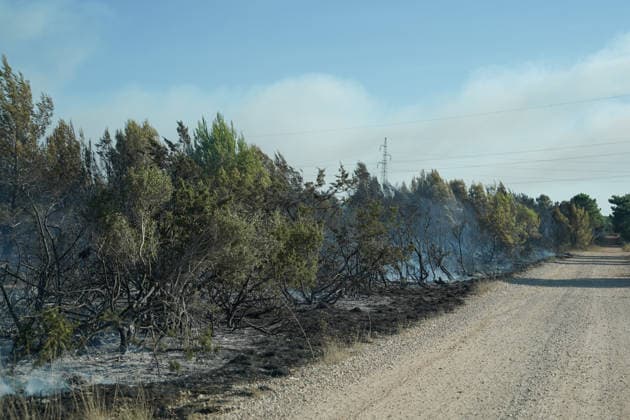 14.08.2026 - Europa, Kroatien, Ninski Stanovi: Großflächiger Vegetationsbrand zwischen Ninski Stanovi und Å½erava in der Gespanschaft Zadar. Zahlreiche Feuerwehrkräfte kämpfen gegen die Flammen. Ein Air Tractor und zwei Canadair sind zur Unterstützung der Löscharbeiten aus der Luft unterwegs. Starker Wind erschwert den Einsatz und begünstigt die Ausbreitung des Feuers. 14.08.2026 - Europa, Hrvatska, Ninski Stanovi: Veliki poÅ¾ar otvorenog prostora izmeÄ‘u Ninskih Stanova i Å½erave u Zadarskoj Å¾upaniji. Brojne vatrogasne snage bore se s vatrom. Air Tractor i Canadair upuÄ‡eni su na poÅ¾ariÅ¡te kako bi pomogli u gaÅ¡enju iz zraka. Jak vjetar oteÅ¾ava gaÅ¡enje i pogoduje Å¡irenju poÅ¾ara. *** August 14, 2026 Europe, Croatia, Ninsk Copyright: xLUKAxKOLANOVICx