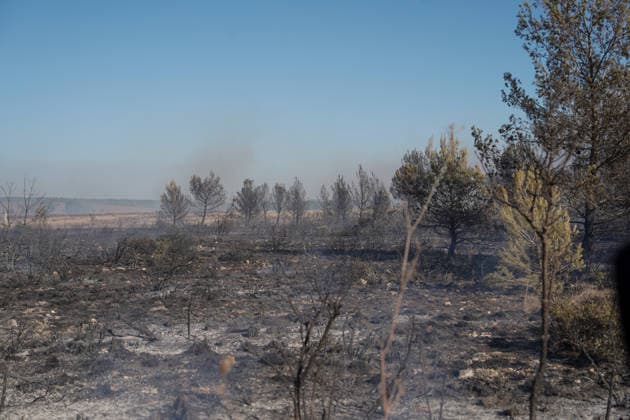 14.08.2026 - Europa, Kroatien, Ninski Stanovi: Großflächiger Vegetationsbrand zwischen Ninski Stanovi und Å½erava in der Gespanschaft Zadar. Zahlreiche Feuerwehrkräfte kämpfen gegen die Flammen. Ein Air Tractor und zwei Canadair sind zur Unterstützung der Löscharbeiten aus der Luft unterwegs. Starker Wind erschwert den Einsatz und begünstigt die Ausbreitung des Feuers. 14.08.2026 - Europa, Hrvatska, Ninski Stanovi: Veliki poÅ¾ar otvorenog prostora izmeÄ‘u Ninskih Stanova i Å½erave u Zadarskoj Å¾upaniji. Brojne vatrogasne snage bore se s vatrom. Air Tractor i Canadair upuÄ‡eni su na poÅ¾ariÅ¡te kako bi pomogli u gaÅ¡enju iz zraka. Jak vjetar oteÅ¾ava gaÅ¡enje i pogoduje Å¡irenju poÅ¾ara. *** August 14, 2026 Europe, Croatia, Ninsk Copyright: xLUKAxKOLANOVICx
