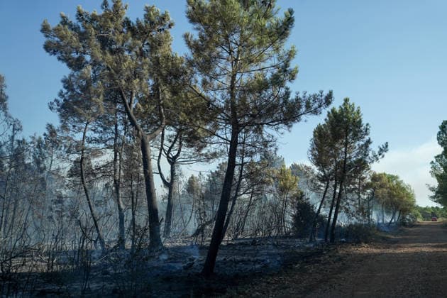 14.08.2026 - Europa, Kroatien, Ninski Stanovi: Großflächiger Vegetationsbrand zwischen Ninski Stanovi und Å½erava in der Gespanschaft Zadar. Zahlreiche Feuerwehrkräfte kämpfen gegen die Flammen. Ein Air Tractor und zwei Canadair sind zur Unterstützung der Löscharbeiten aus der Luft unterwegs. Starker Wind erschwert den Einsatz und begünstigt die Ausbreitung des Feuers. 14.08.2026 - Europa, Hrvatska, Ninski Stanovi: Veliki poÅ¾ar otvorenog prostora izmeÄ‘u Ninskih Stanova i Å½erave u Zadarskoj Å¾upaniji. Brojne vatrogasne snage bore se s vatrom. Air Tractor i Canadair upuÄ‡eni su na poÅ¾ariÅ¡te kako bi pomogli u gaÅ¡enju iz zraka. Jak vjetar oteÅ¾ava gaÅ¡enje i pogoduje Å¡irenju poÅ¾ara. *** August 14, 2026 Europe, Croatia, Ninsk Copyright: xLUKAxKOLANOVICx