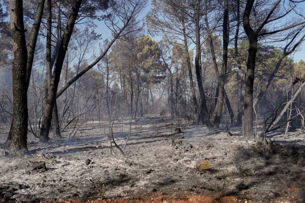 14.08.2026 - Europa, Kroatien, Ninski Stanovi: Großflächiger Vegetationsbrand zwischen Ninski Stanovi und Å½erava in der Gespanschaft Zadar. Zahlreiche Feuerwehrkräfte kämpfen gegen die Flammen. Ein Air Tractor und zwei Canadair sind zur Unterstützung der Löscharbeiten aus der Luft unterwegs. Starker Wind erschwert den Einsatz und begünstigt die Ausbreitung des Feuers. 14.08.2026 - Europa, Hrvatska, Ninski Stanovi: Veliki poÅ¾ar otvorenog prostora izmeÄ‘u Ninskih Stanova i Å½erave u Zadarskoj Å¾upaniji. Brojne vatrogasne snage bore se s vatrom. Air Tractor i Canadair upuÄ‡eni su na poÅ¾ariÅ¡te kako bi pomogli u gaÅ¡enju iz zraka. Jak vjetar oteÅ¾ava gaÅ¡enje i pogoduje Å¡irenju poÅ¾ara. *** August 14, 2026 Europe, Croatia, Ninsk Copyright: xLUKAxKOLANOVICx