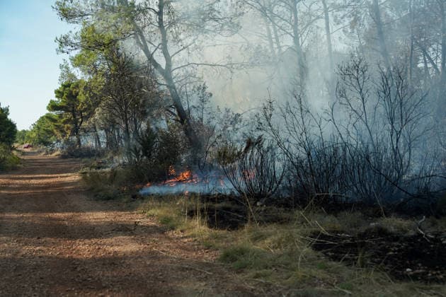 14.08.2026 - Europa, Kroatien, Ninski Stanovi: Großflächiger Vegetationsbrand zwischen Ninski Stanovi und Å½erava in der Gespanschaft Zadar. Zahlreiche Feuerwehrkräfte kämpfen gegen die Flammen. Ein Air Tractor und zwei Canadair sind zur Unterstützung der Löscharbeiten aus der Luft unterwegs. Starker Wind erschwert den Einsatz und begünstigt die Ausbreitung des Feuers. 14.08.2026 - Europa, Hrvatska, Ninski Stanovi: Veliki poÅ¾ar otvorenog prostora izmeÄ‘u Ninskih Stanova i Å½erave u Zadarskoj Å¾upaniji. Brojne vatrogasne snage bore se s vatrom. Air Tractor i Canadair upuÄ‡eni su na poÅ¾ariÅ¡te kako bi pomogli u gaÅ¡enju iz zraka. Jak vjetar oteÅ¾ava gaÅ¡enje i pogoduje Å¡irenju poÅ¾ara. *** August 14, 2026 Europe, Croatia, Ninsk Copyright: xLUKAxKOLANOVICx