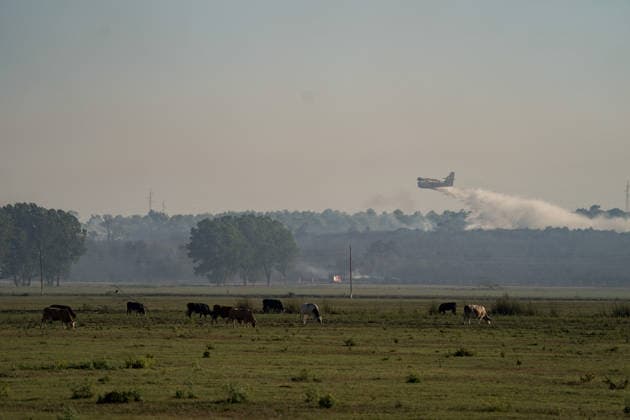 14.08.2026 - Europa, Kroatien, Ninski Stanovi: Großflächiger Vegetationsbrand zwischen Ninski Stanovi und Å½erava in der Gespanschaft Zadar. Zahlreiche Feuerwehrkräfte kämpfen gegen die Flammen. Ein Air Tractor und zwei Canadair sind zur Unterstützung der Löscharbeiten aus der Luft unterwegs. Starker Wind erschwert den Einsatz und begünstigt die Ausbreitung des Feuers. 14.08.2026 - Europa, Hrvatska, Ninski Stanovi: Veliki poÅ¾ar otvorenog prostora izmeÄ‘u Ninskih Stanova i Å½erave u Zadarskoj Å¾upaniji. Brojne vatrogasne snage bore se s vatrom. Air Tractor i Canadair upuÄ‡eni su na poÅ¾ariÅ¡te kako bi pomogli u gaÅ¡enju iz zraka. Jak vjetar oteÅ¾ava gaÅ¡enje i pogoduje Å¡irenju poÅ¾ara. *** August 14, 2026 Europe, Croatia, Ninsk Copyright: xLUKAxKOLANOVICx