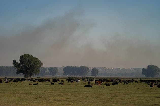 14.08.2026 - Europa, Kroatien, Ninski Stanovi: Großflächiger Vegetationsbrand zwischen Ninski Stanovi und Å½erava in der Gespanschaft Zadar. Zahlreiche Feuerwehrkräfte kämpfen gegen die Flammen. Ein Air Tractor und zwei Canadair sind zur Unterstützung der Löscharbeiten aus der Luft unterwegs. Starker Wind erschwert den Einsatz und begünstigt die Ausbreitung des Feuers. 14.08.2026 - Europa, Hrvatska, Ninski Stanovi: Veliki poÅ¾ar otvorenog prostora izmeÄ‘u Ninskih Stanova i Å½erave u Zadarskoj Å¾upaniji. Brojne vatrogasne snage bore se s vatrom. Air Tractor i Canadair upuÄ‡eni su na poÅ¾ariÅ¡te kako bi pomogli u gaÅ¡enju iz zraka. Jak vjetar oteÅ¾ava gaÅ¡enje i pogoduje Å¡irenju poÅ¾ara. *** August 14, 2026 Europe, Croatia, Ninsk Copyright: xLUKAxKOLANOVICx