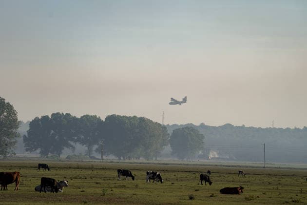 14.08.2026 - Europa, Kroatien, Ninski Stanovi: Großflächiger Vegetationsbrand zwischen Ninski Stanovi und Å½erava in der Gespanschaft Zadar. Zahlreiche Feuerwehrkräfte kämpfen gegen die Flammen. Ein Air Tractor und zwei Canadair sind zur Unterstützung der Löscharbeiten aus der Luft unterwegs. Starker Wind erschwert den Einsatz und begünstigt die Ausbreitung des Feuers. 14.08.2026 - Europa, Hrvatska, Ninski Stanovi: Veliki poÅ¾ar otvorenog prostora izmeÄ‘u Ninskih Stanova i Å½erave u Zadarskoj Å¾upaniji. Brojne vatrogasne snage bore se s vatrom. Air Tractor i Canadair upuÄ‡eni su na poÅ¾ariÅ¡te kako bi pomogli u gaÅ¡enju iz zraka. Jak vjetar oteÅ¾ava gaÅ¡enje i pogoduje Å¡irenju poÅ¾ara. *** August 14, 2026 Europe, Croatia, Ninsk Copyright: xLUKAxKOLANOVICx