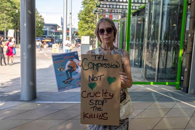 Protest Against TfL Pigeon Shooting Stratford, London, August 14, 2026 Animal rights activists and supporters gathered outside Transport for London™s headquarters in Stratford to protest against the shooting of pigeons at TfL sites. Demonstrators criticised the practice, which campaigners say is used to control pigeon numbers across London™s transport network, and called for non-lethal alternatives to be used instead., Credit:Zak Irfan Avalon  Copyright: xZakxIrfanx xAvalonx 1123029384
