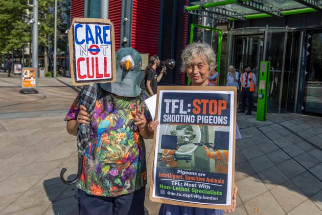 Protest Against TfL Pigeon Shooting Stratford, London, August 14, 2026 Animal rights activists and supporters gathered outside Transport for London™s headquarters in Stratford to protest against the shooting of pigeons at TfL sites. Demonstrators criticised the practice, which campaigners say is used to control pigeon numbers across London™s transport network, and called for non-lethal alternatives to be used instead., Credit:Zak Irfan Avalon  Copyright: xZakxIrfanx xAvalonx 1123031018