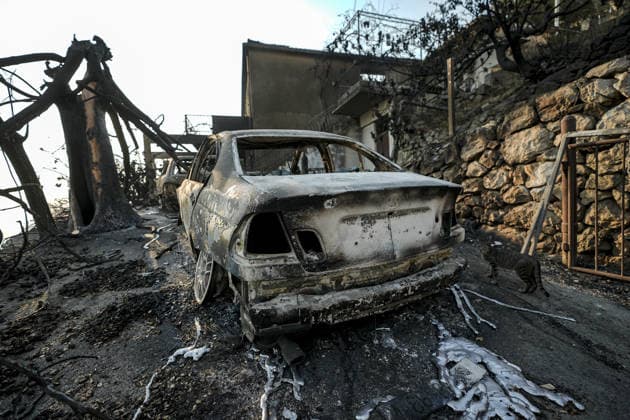 Aftermath of wildfire near Croatia s Omis OMIS, CROATIA - AUGUST 14: An aftermath view of wildfire near Omis, Croatia on August 14, 2026. Samir Jordamovic Anadolu Omis Croatia. Editorial use only. Please get in touch for any other usage.  Copyright: x2026xAnadoluxSamirxJordamovicx