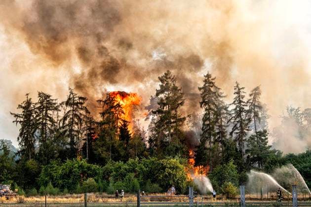 Waldbrand bei Sonsbeck Labbeck ** NUR FÜR REDAKTIONELLE ZWECKE ** EDITORIAL USE ONLY **<p>Eine Waldfläche brennt am 14.8.2026 Neben der Marienbaumer Straße in Lübeck. Die Feuerwehr ist mit vielen Kräften am Löschen Foto : Arnulf Stoffel Funke Foto Services < p> Buntes Deutschland NRW Sonsbeck Copyright: ArnulfxStoffel *** Forest Fire Near Sonsbeck Labbeck ** FOR EDITORIAL USE ONLY ** EDITORIAL USE ONLY ** p A forest area is on fire on August 14, 2026, next to Marienbaumer Straße in Lübeck. The fire department is on the scene with a large number of personnel to extinguish the blaze. Photo by Arnulf Stoffel, Funke Foto Services p Colorful Germany, North Rhine-Westphalia, Sonsbeck. Copyright ArnulfxStoffel Copyright: ArnulfxStoffel doc875rzdjqcc71ah3ijfvg ,EDITORIAL USE ONLY