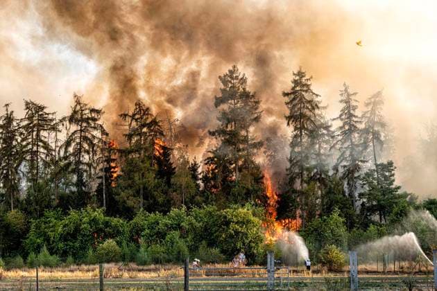 Waldbrand bei Sonsbeck Labbeck ** NUR FÜR REDAKTIONELLE ZWECKE ** EDITORIAL USE ONLY **<p>Eine Waldfläche brennt am 14.8.2026 Neben der Marienbaumer Straße in Lübeck. Die Feuerwehr ist mit vielen Kräften am Löschen Foto : Arnulf Stoffel Funke Foto Services < p> Buntes Deutschland NRW Sonsbeck Copyright: ArnulfxStoffel *** Forest Fire Near Sonsbeck Labbeck ** FOR EDITORIAL USE ONLY ** EDITORIAL USE ONLY ** p A forest area is on fire on August 14, 2026, next to Marienbaumer Straße in Lübeck. The fire department is on the scene with a large number of personnel to extinguish the blaze. Photo by Arnulf Stoffel, Funke Foto Services p Colorful Germany, North Rhine-Westphalia, Sonsbeck. Copyright ArnulfxStoffel Copyright: ArnulfxStoffel doc875rzdr9vjd4sf5eorb ,EDITORIAL USE ONLY