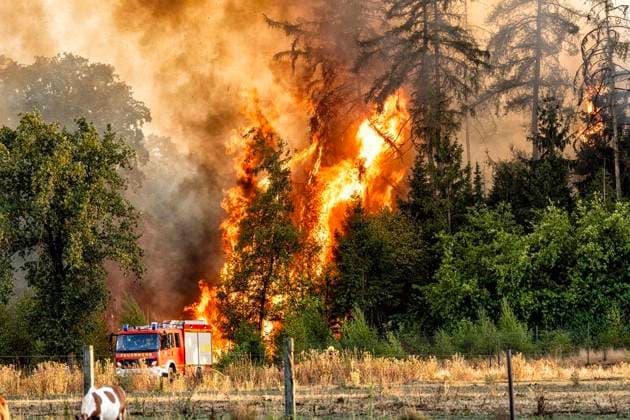 Waldbrand bei Sonsbeck Labbeck ** NUR FÜR REDAKTIONELLE ZWECKE ** EDITORIAL USE ONLY **<p>Eine Waldfläche brennt am 14.8.2026 Neben der Marienbaumer Straße in Lübeck. Die Feuerwehr ist mit vielen Kräften am Löschen Foto : Arnulf Stoffel Funke Foto Services < p> Buntes Deutschland NRW Sonsbeck Copyright: ArnulfxStoffel *** Forest Fire Near Sonsbeck Labbeck ** FOR EDITORIAL USE ONLY ** EDITORIAL USE ONLY ** p A forest area is on fire on August 14, 2026, next to Marienbaumer Straße in Lübeck. The fire department is on the scene with a large number of personnel to extinguish the blaze. Photo by Arnulf Stoffel, Funke Foto Services p Colorful Germany, North Rhine-Westphalia, Sonsbeck. Copyright ArnulfxStoffel Copyright: ArnulfxStoffel doc875rze0siac15f1dolb0 ,EDITORIAL USE ONLY